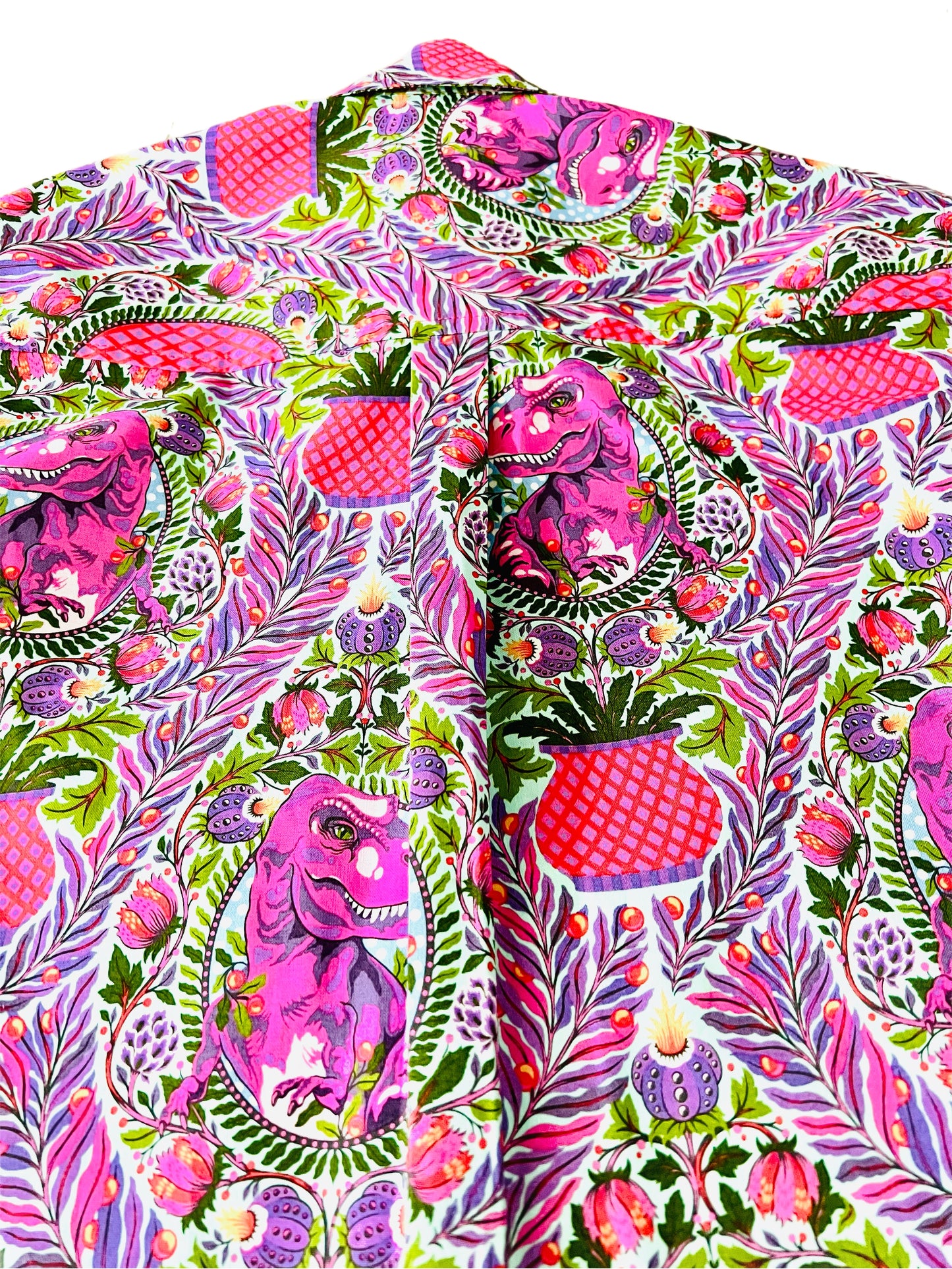 Boys Dino Delight Button Up Shirt