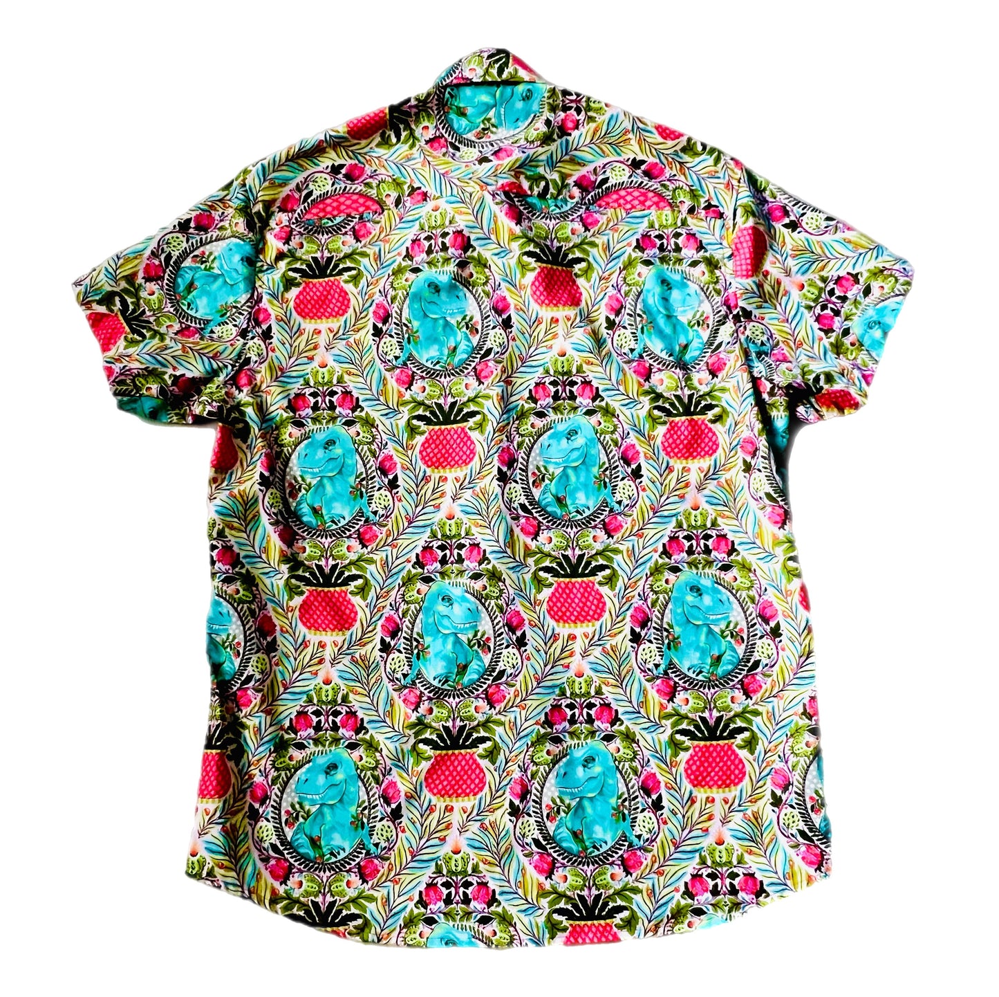 Boys Dino Delight Button Up Shirt