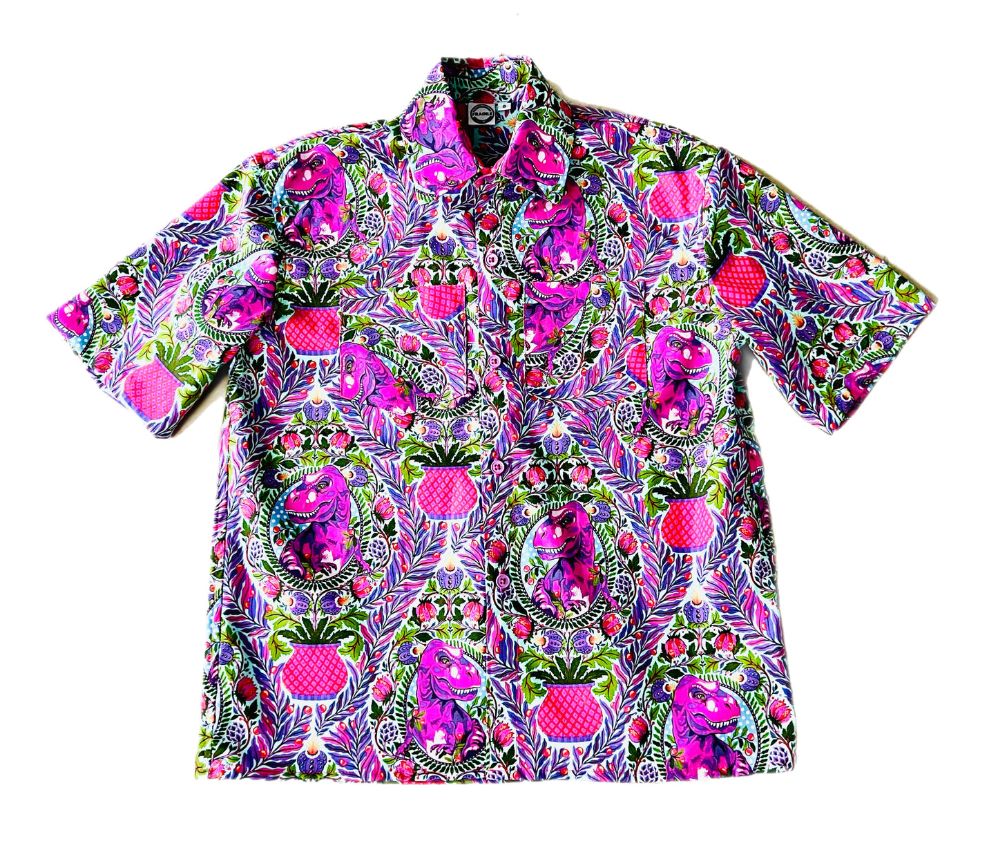 Boys Dino Delight Button Up Shirt