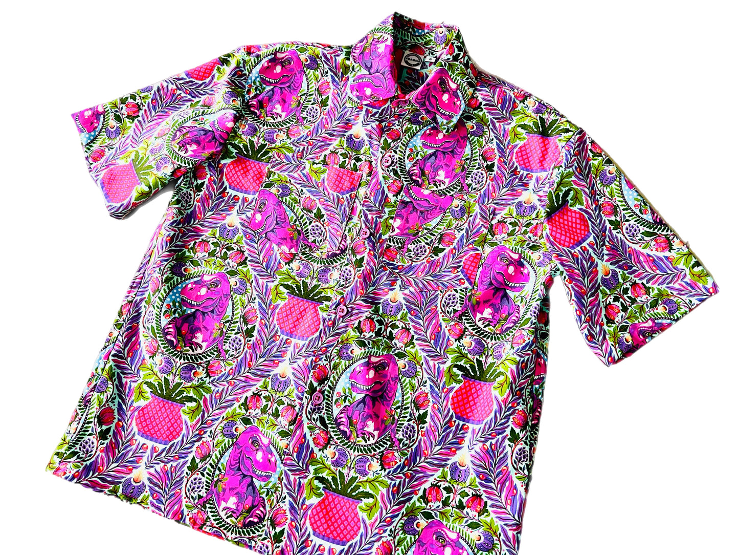 Boys Dino Delight Button Up Shirt