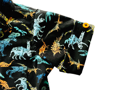 Dinosaur Archaeologists Button Down Shirt and Shorts Set for Baby and Boys