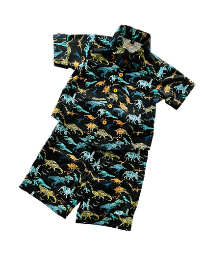 Dinosaur Archaeologists Button Down Shirt and Shorts Set for Baby and Boys